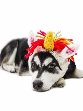 Unicorn costume, small.